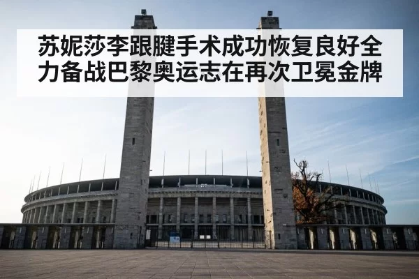 苏妮莎李跟腱手术成功恢复良好全力备战巴黎奥运志在再次卫冕金牌